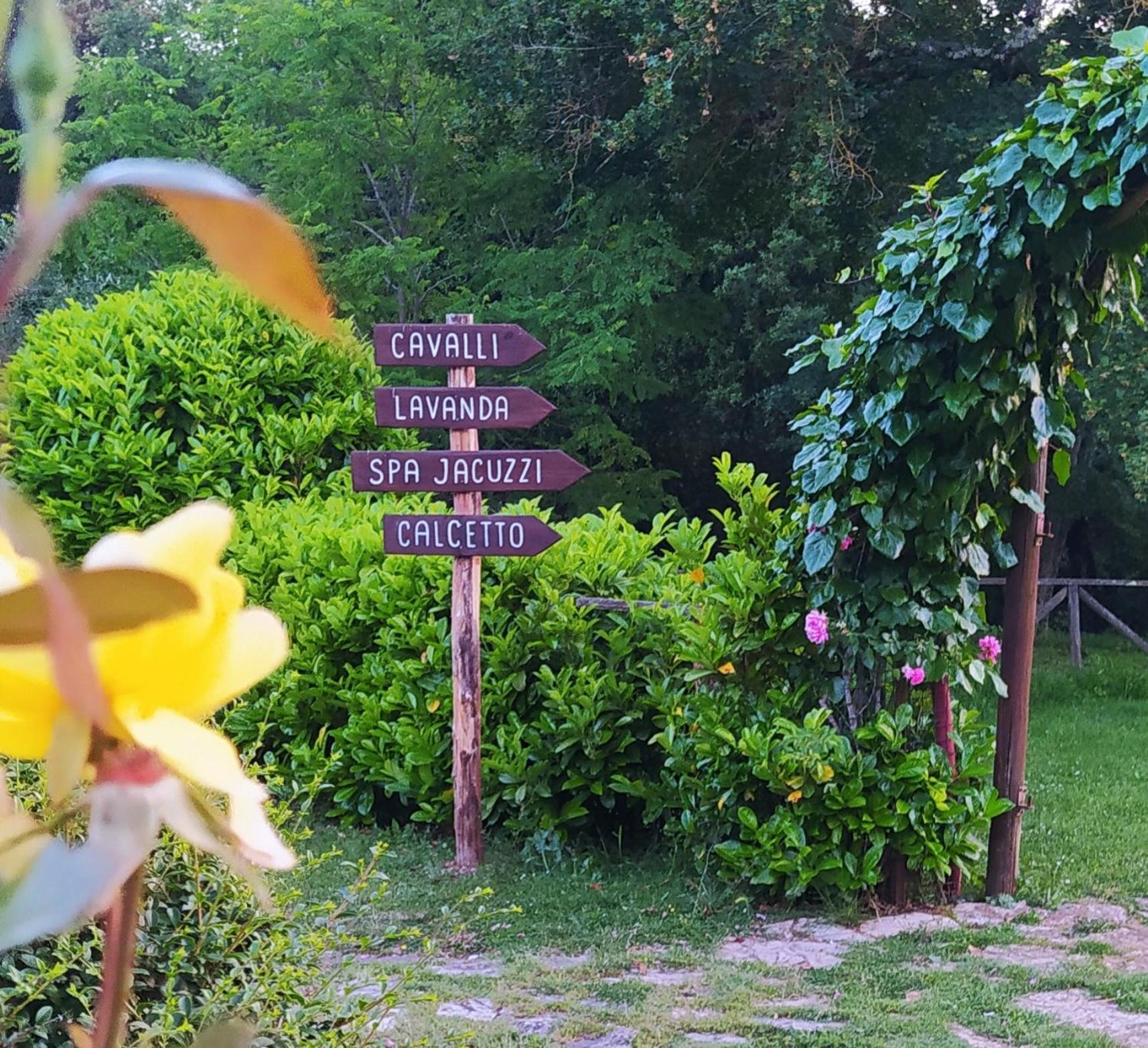 Podere Poggiarone Alloggio per agriturismo